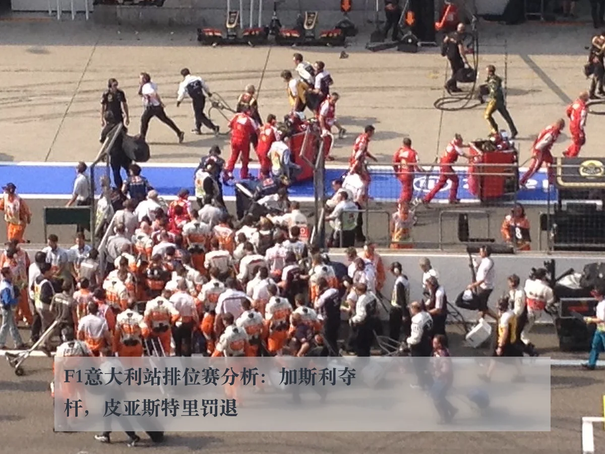 F1意大利站排位赛分析:加斯利夺杆,皮亚斯特里罚退